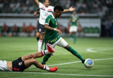 Palmeira vence o Botafogo pela Copa do Brasil com gol de Estevão