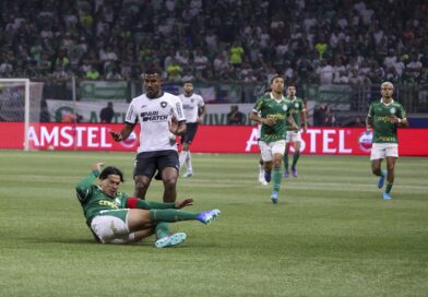 Palmeiras empata em casa com Botafogo e diz adeus a Libertadores
