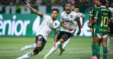 Botafogo vence Palmeiras fora de casa e abre três pontos na liderança