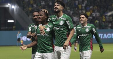 Palmeiras vence botafogo e mantem briga pela liderança