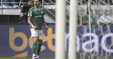 Palmeiras faz 3 x 0 e abre grande vantagem na Copa do Brasil